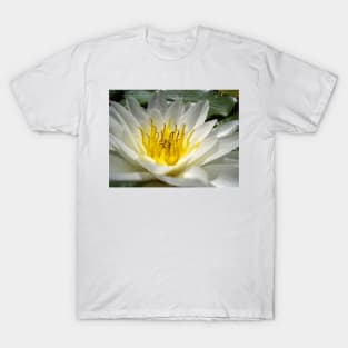 What A Lily! T-Shirt